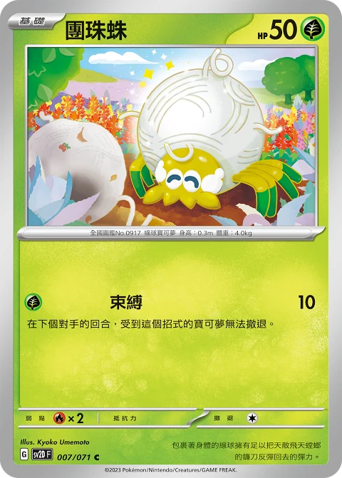 團珠蛛